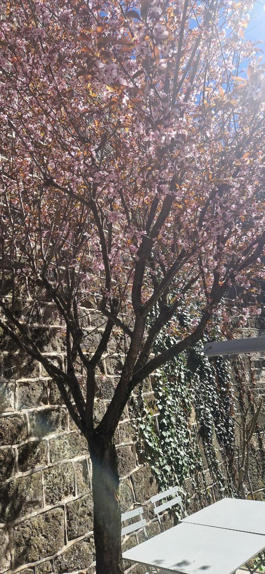 Le Puy-en-Velay Appartement 120 M² Duplex Coeur Historique Au Calme מראה חיצוני תמונה