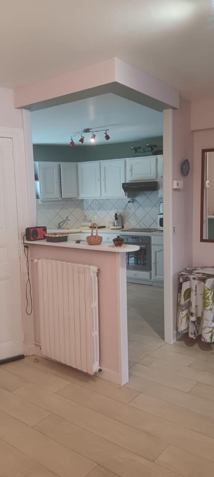 Le Puy-en-Velay Appartement 120 M² Duplex Coeur Historique Au Calme מראה חיצוני תמונה