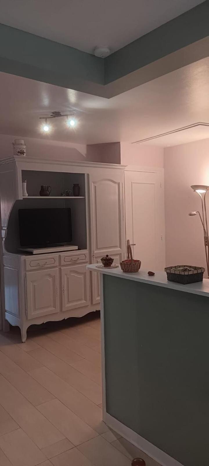 Le Puy-en-Velay Appartement 120 M² Duplex Coeur Historique Au Calme מראה חיצוני תמונה